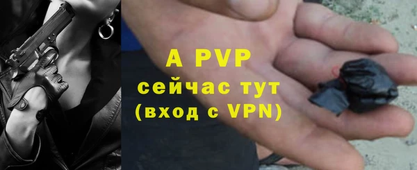 дмт Рославль