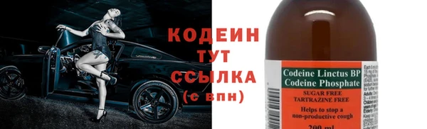 дмт Дубна