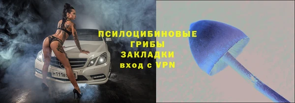 дмт Рославль