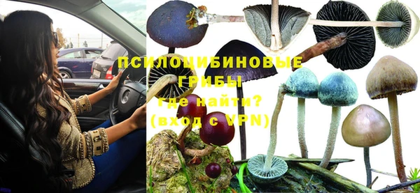 дмт Рославль